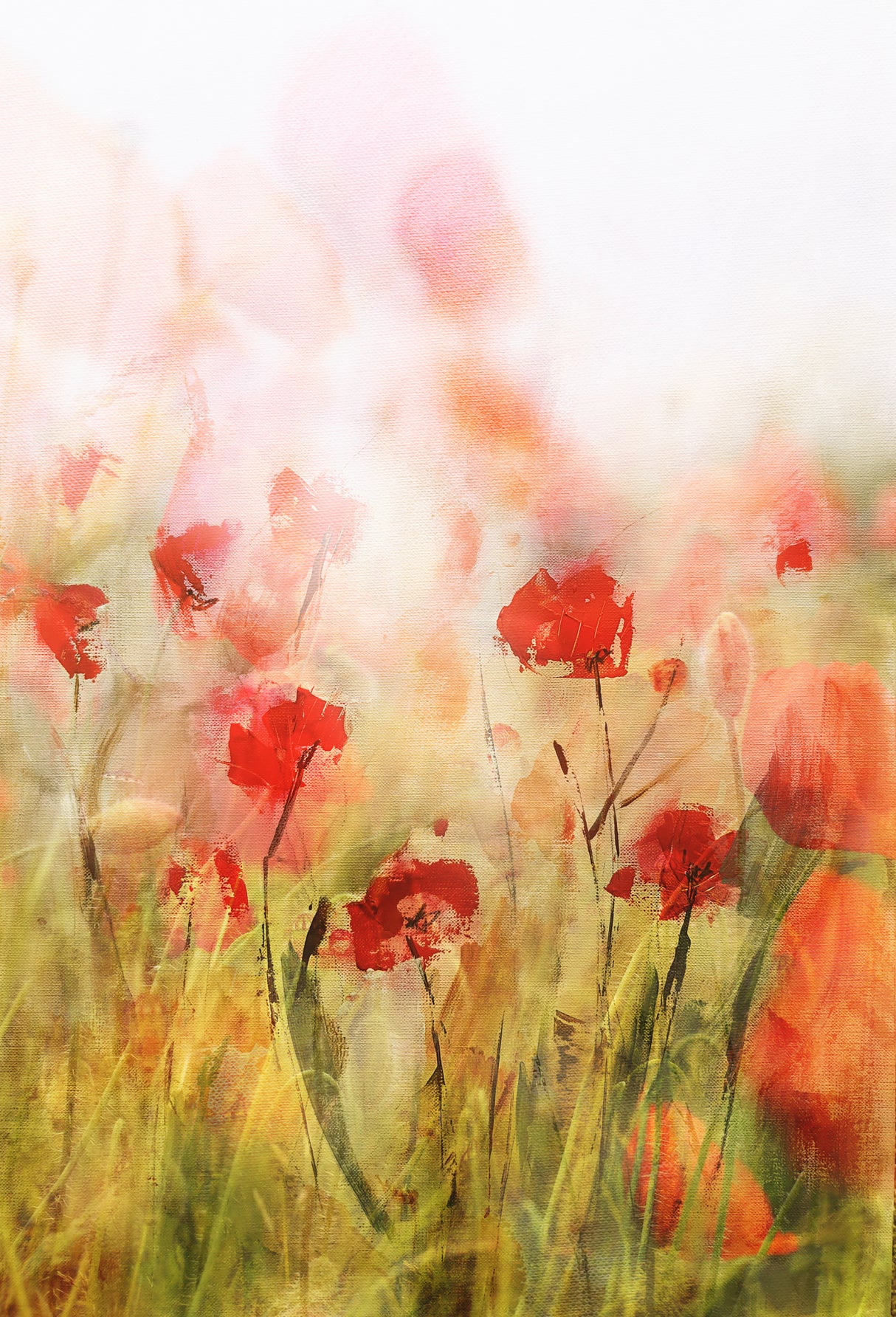 Poppies IV Poster och Canvastavla