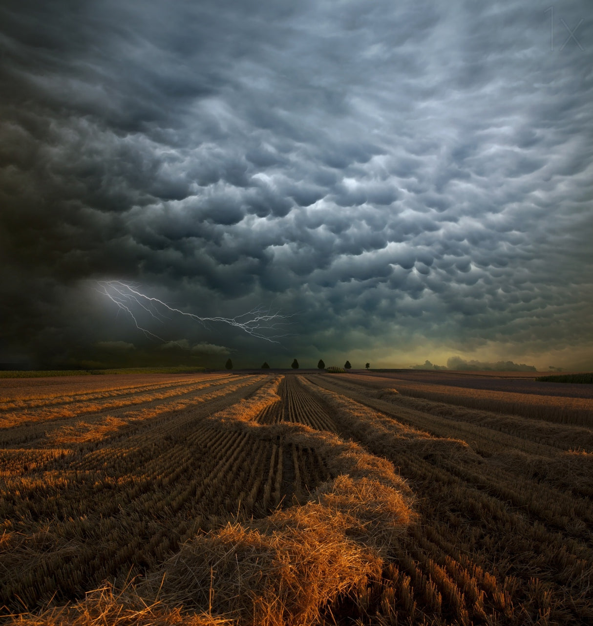 Mammatus Poster och Canvastavla