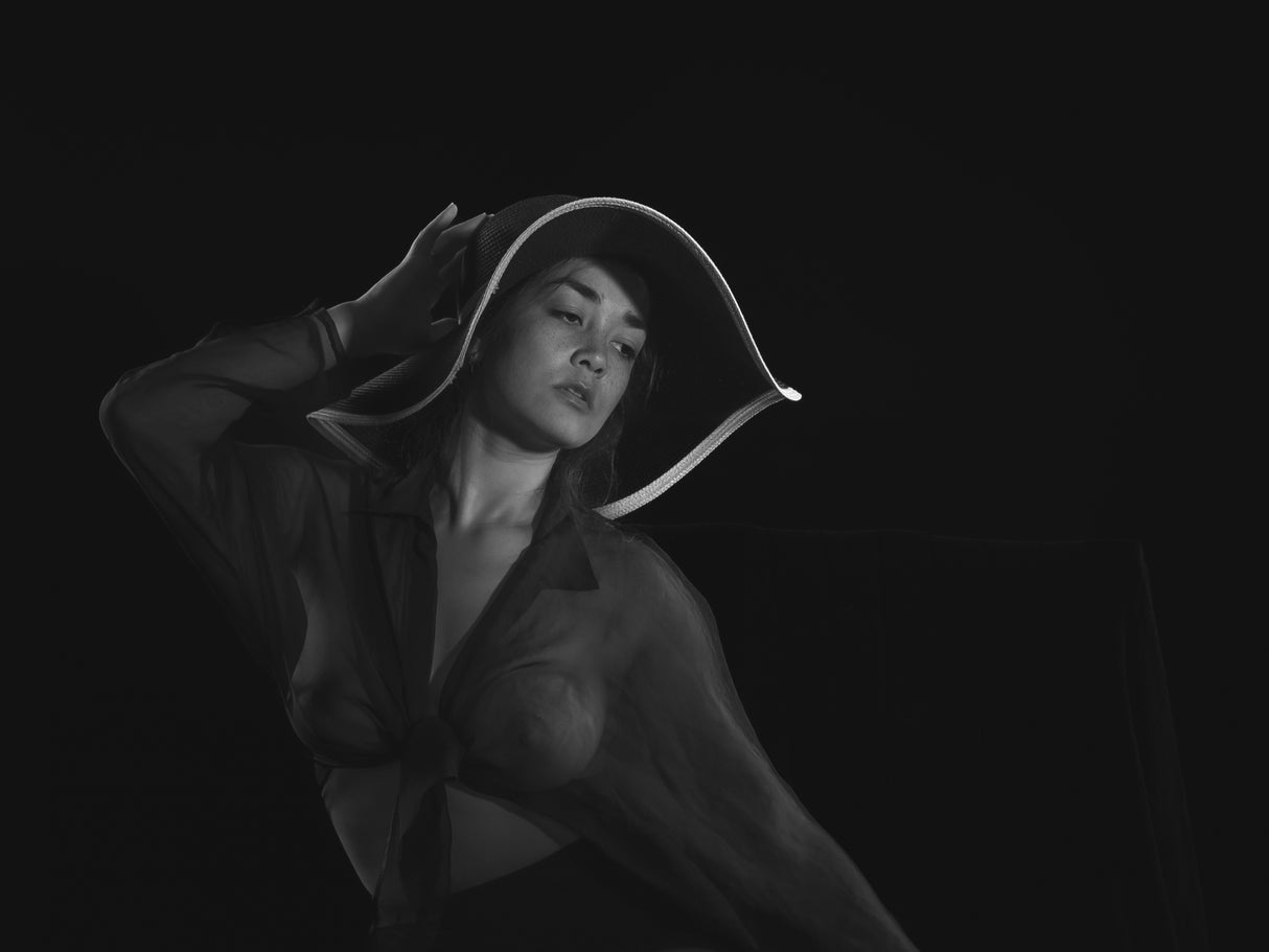 La femme à la capeline Poster och Canvastavla