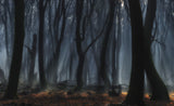 Dancing trees Poster och Canvastavla