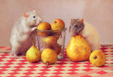 "Still life" with pears :) Poster och Canvastavla