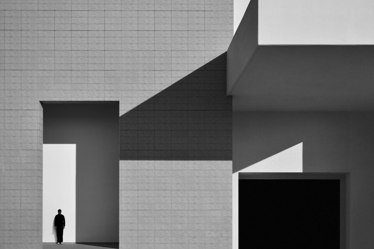Fan Ho Effect Poster och Canvastavla