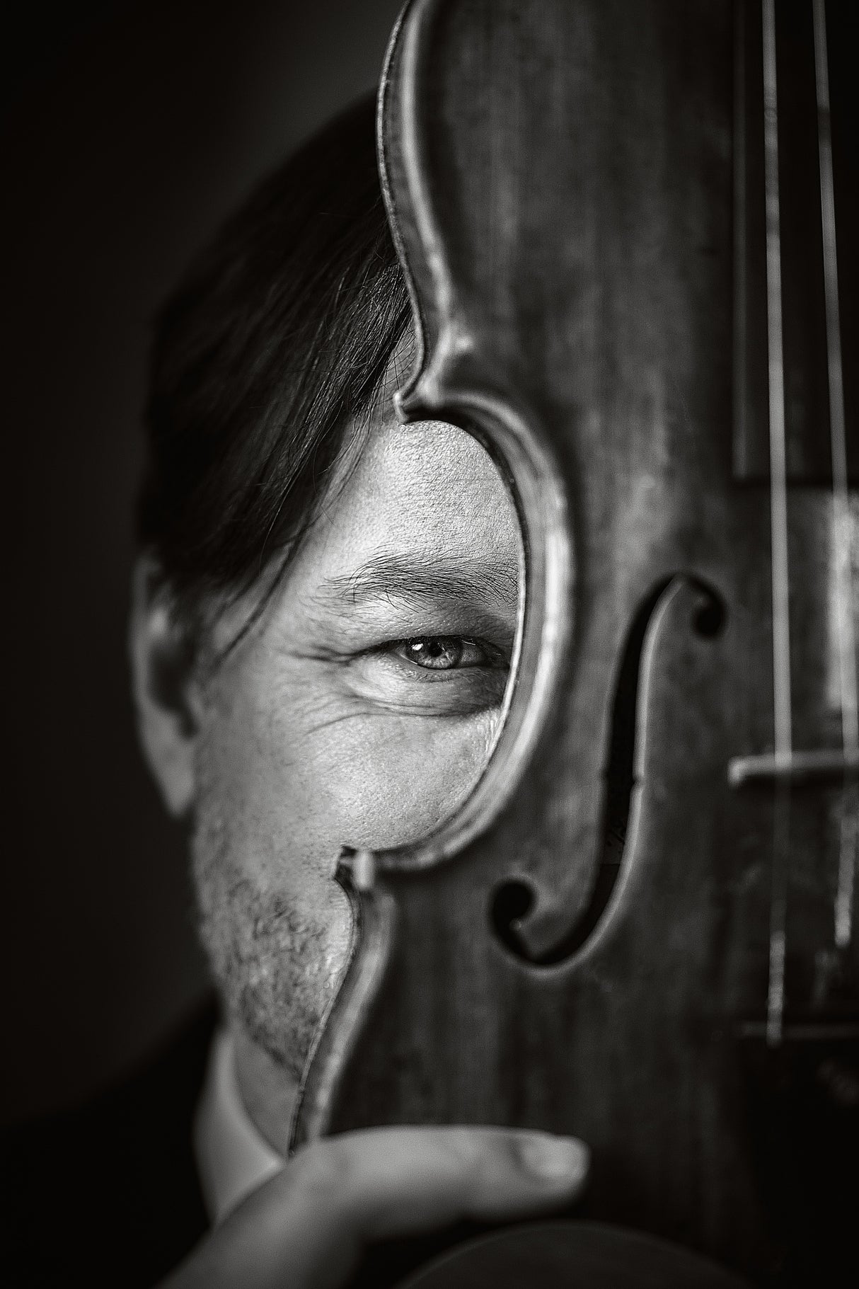 Violinface Poster och Canvastavla