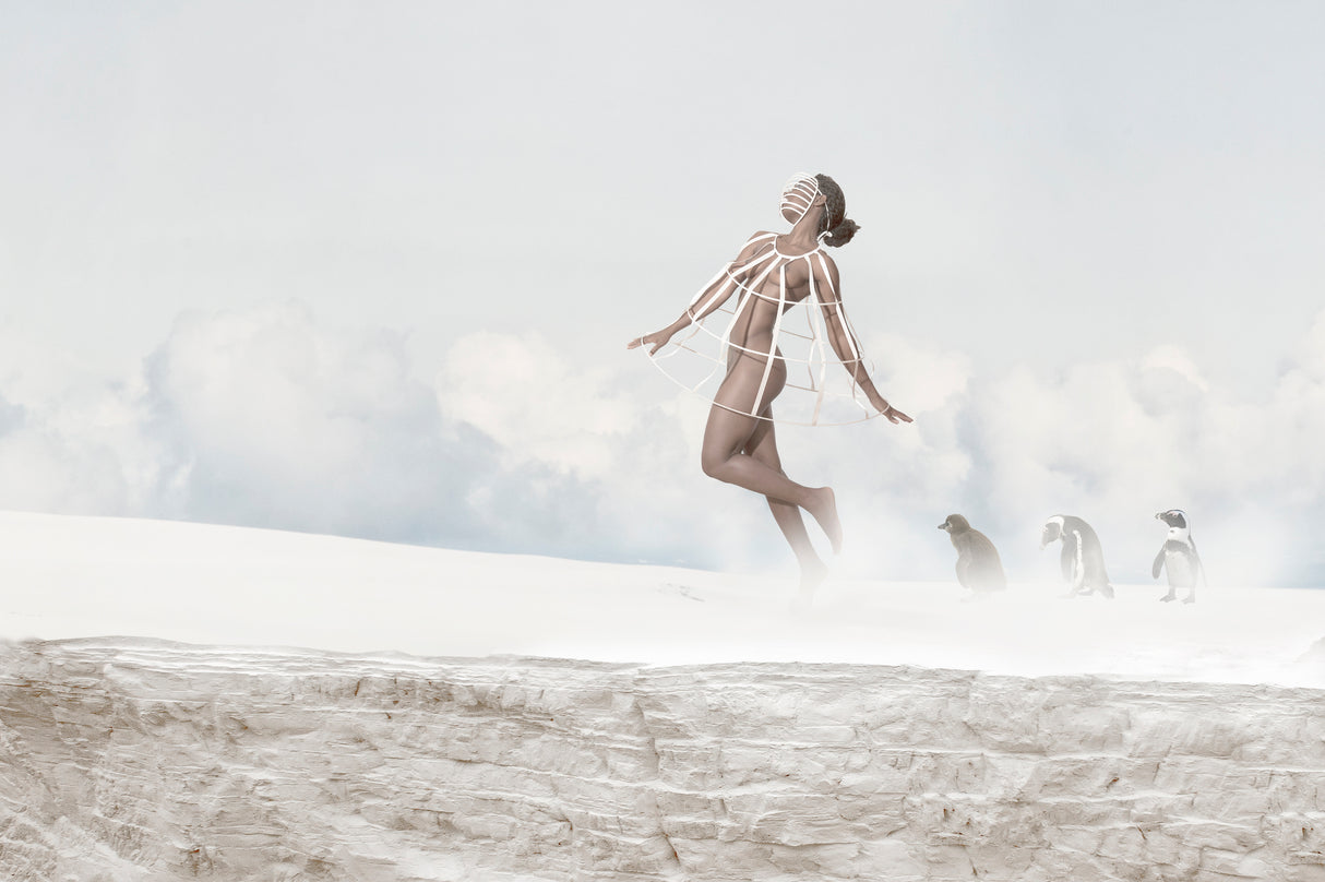 Catwalk on Ice Poster och Canvastavla