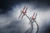 WingWalkers Poster och Canvastavla