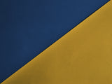 Colors of the flag of the country of free Ukraine Poster och Canvastavla