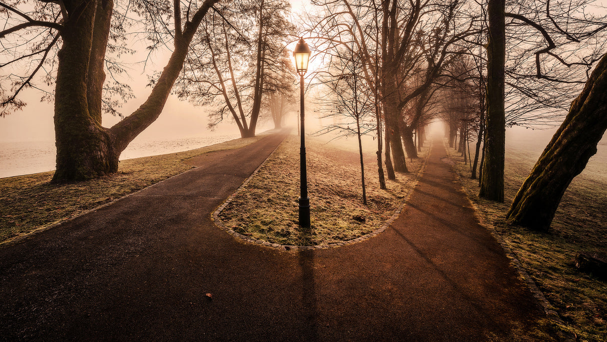 Double path Poster och Canvastavla
