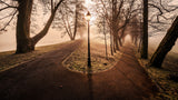 Double path Poster och Canvastavla