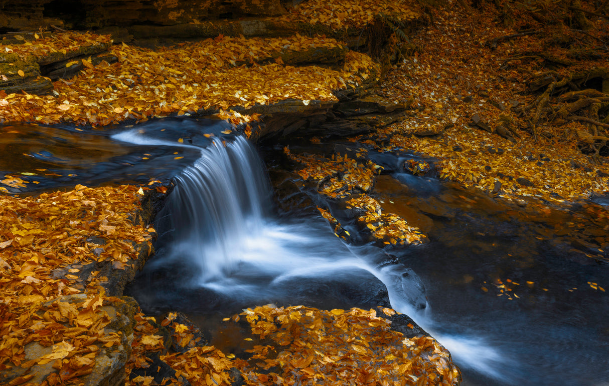 Autumn Waterfall Poster och Canvastavla