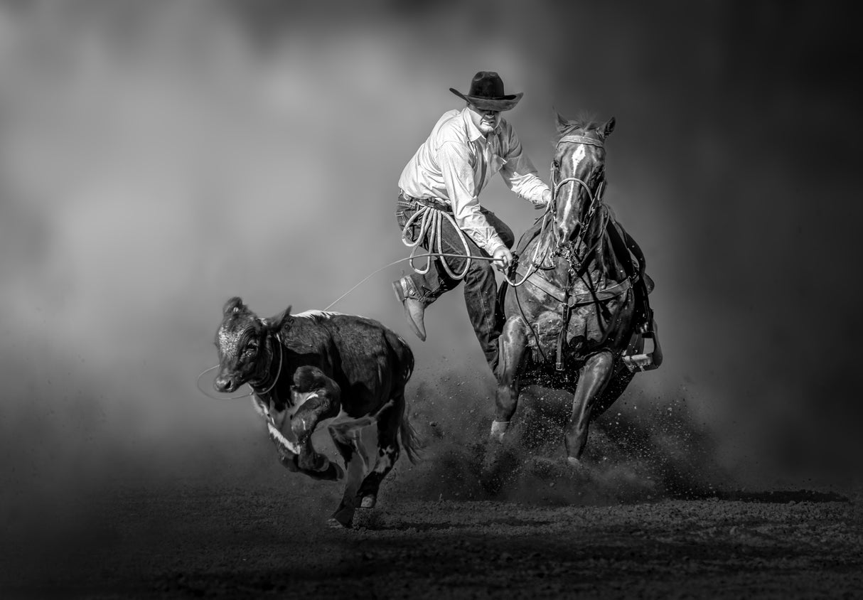 Perfect Tie-Down Roping Poster och Canvastavla