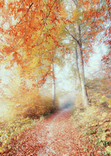 Autumn morningf Poster och Canvastavla