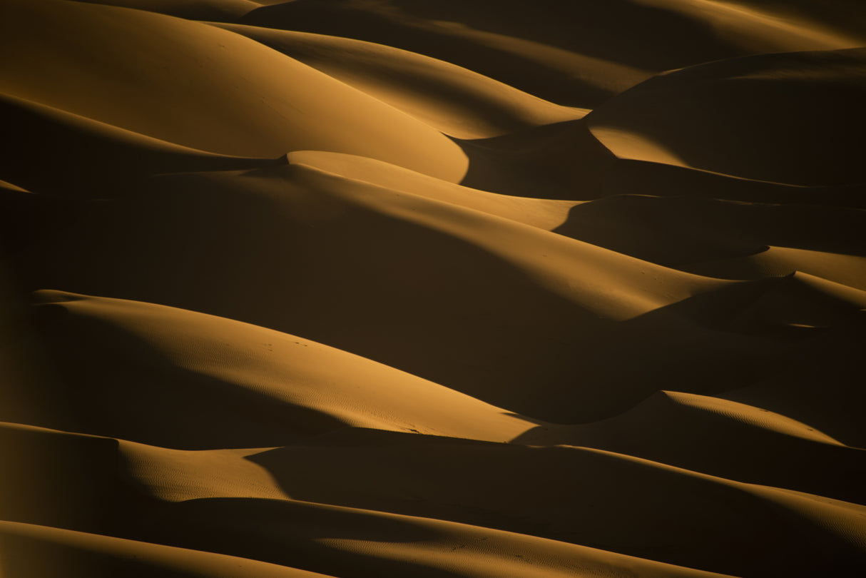 gold waves Poster och Canvastavla