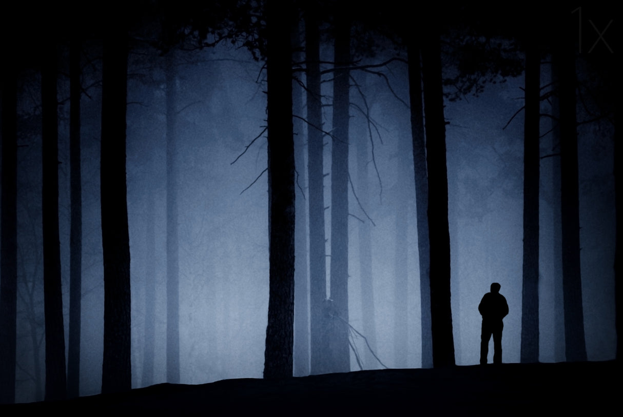 Man in forest Poster och Canvastavla