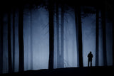 Man in forest Poster och Canvastavla