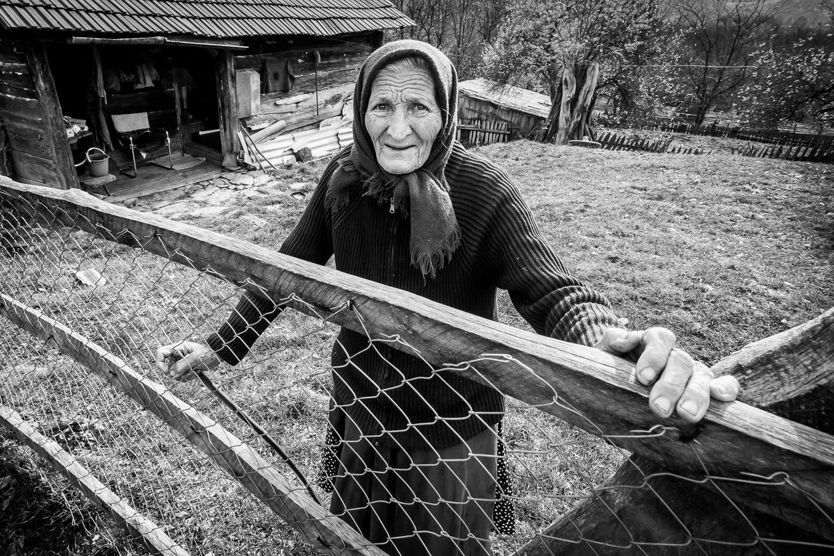 The Grandmother Poster och Canvastavla