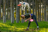 Dog and Frisbee Poster och Canvastavla