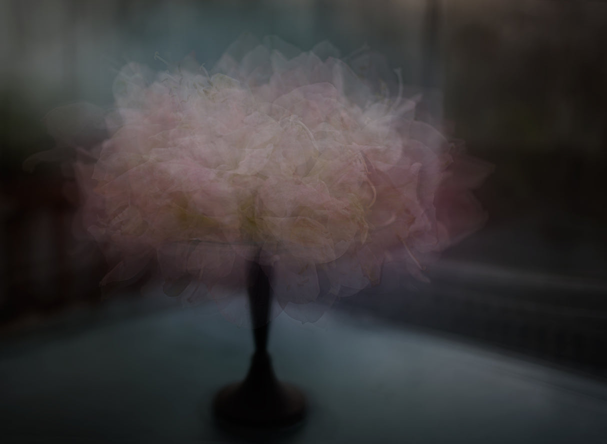 Flower cake Poster och Canvastavla