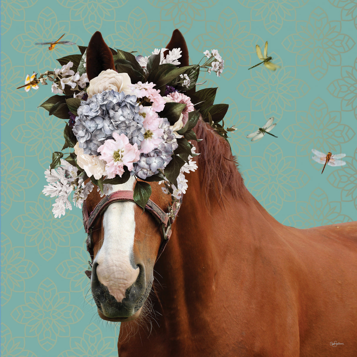 Spring Flower Bonnet On Horse Poster och Canvastavla