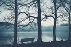 Take a seat Poster och Canvastavla