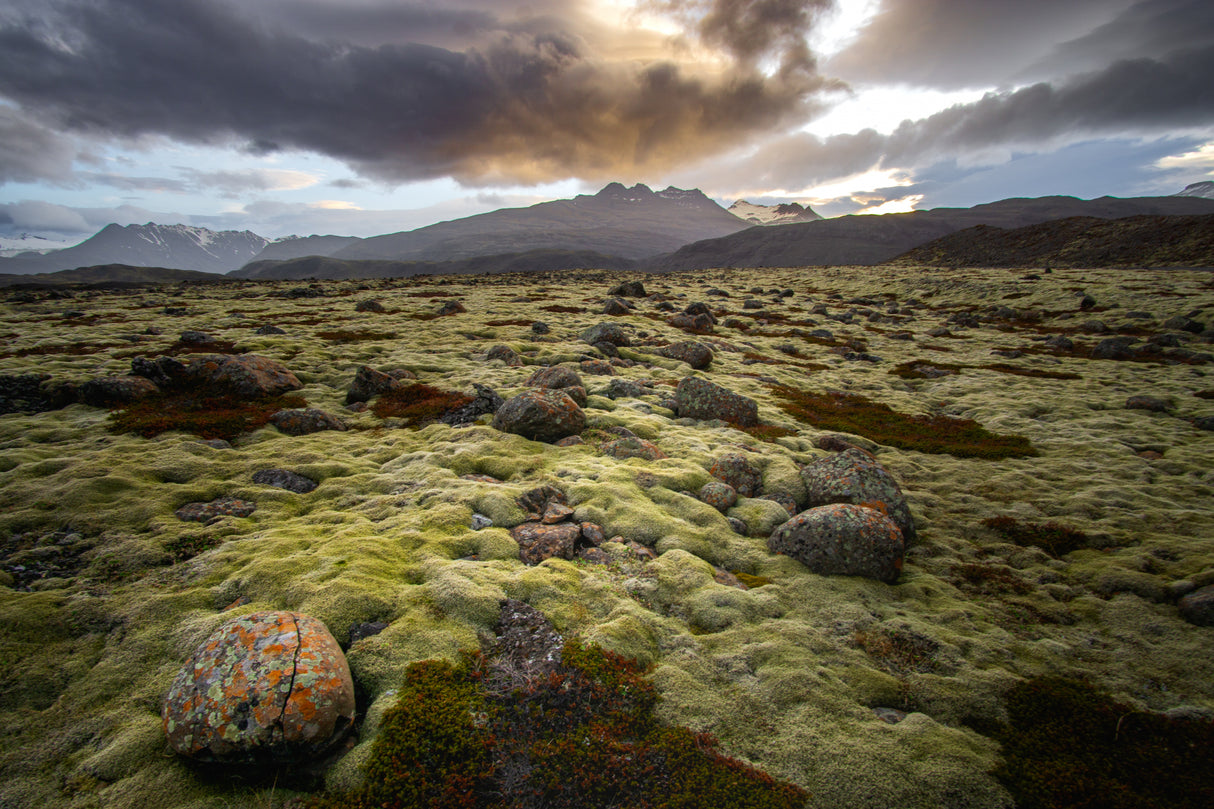 Iceland highlands Poster och Canvastavla