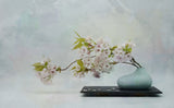 Spring vibe . Poster och Canvastavla