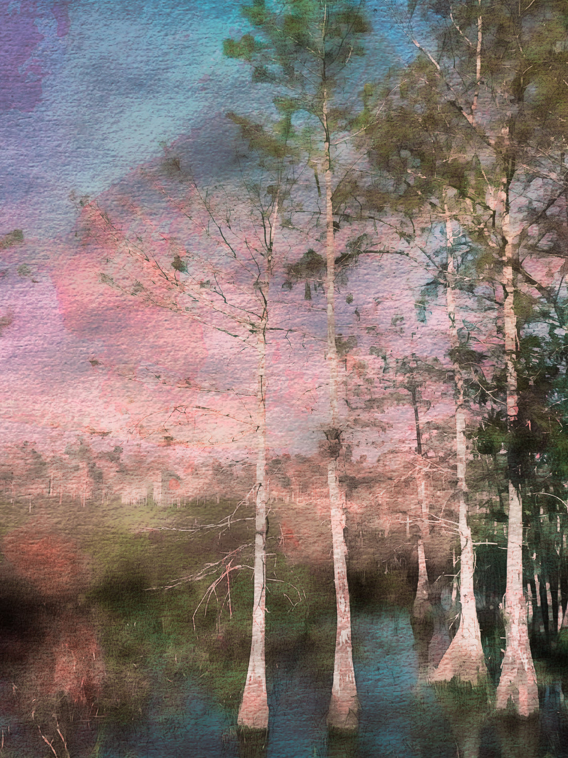 Everglades Poster och Canvastavla