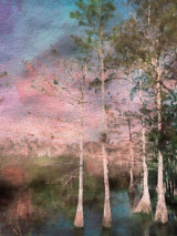 Everglades Poster och Canvastavla