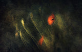 Into the deep Poster och Canvastavla