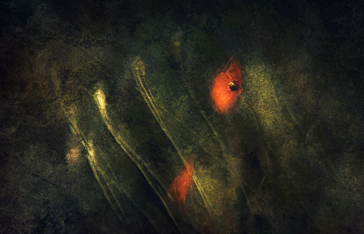 Into the deep Poster och Canvastavla