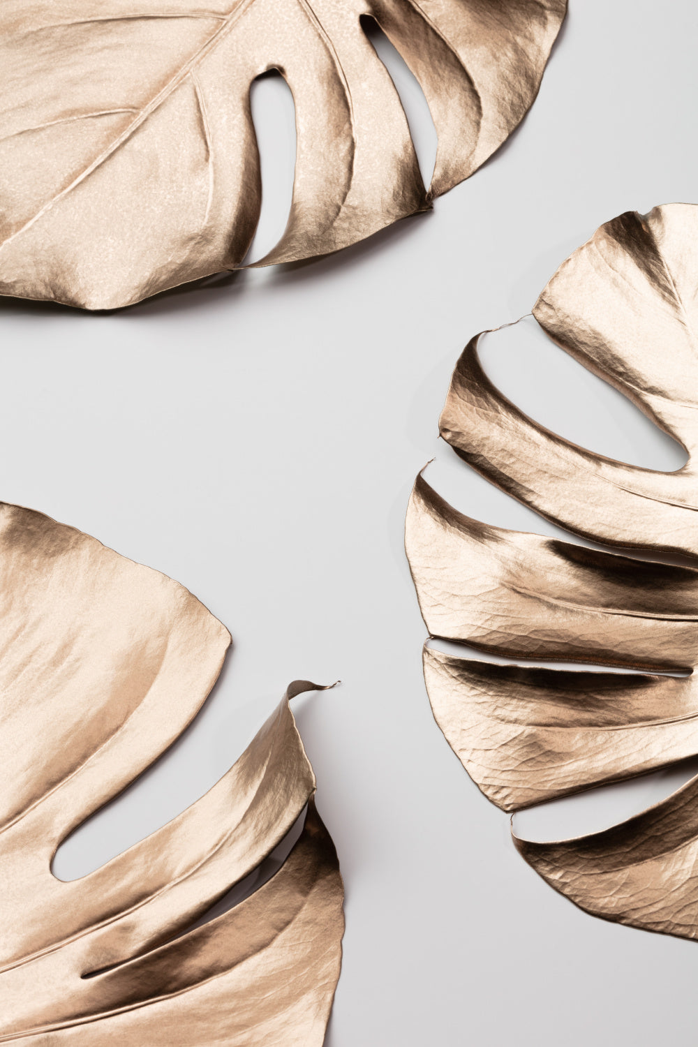 Monstera Gold 01 Poster och Canvastavla