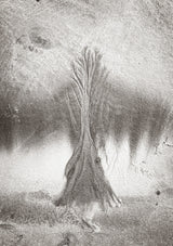 Tree of life Poster och Canvastavla
