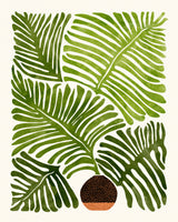 Summer Fern 4x5 Poster och Canvastavla