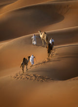 Liwa desert Poster och Canvastavla