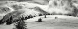 into the wild . . Poster och Canvastavla