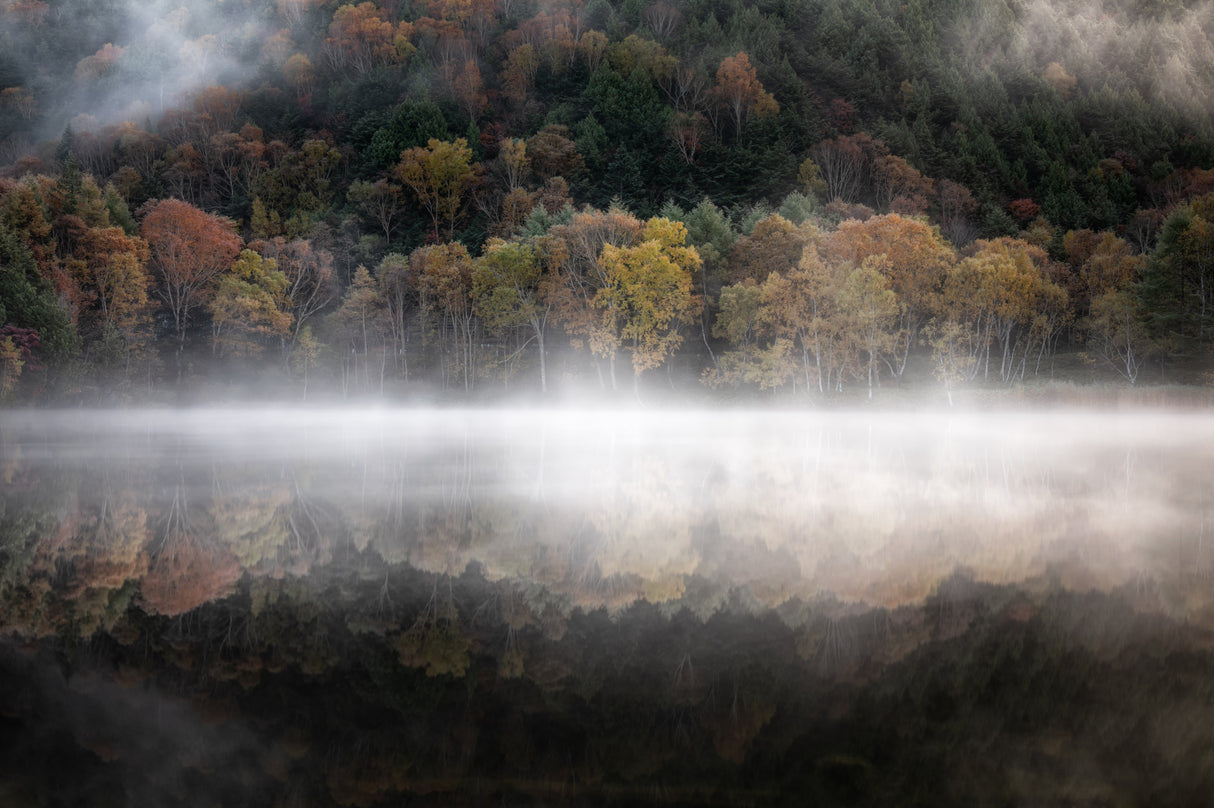 The mystical pond in the autumn Poster och Canvastavla