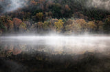 The mystical pond in the autumn Poster och Canvastavla