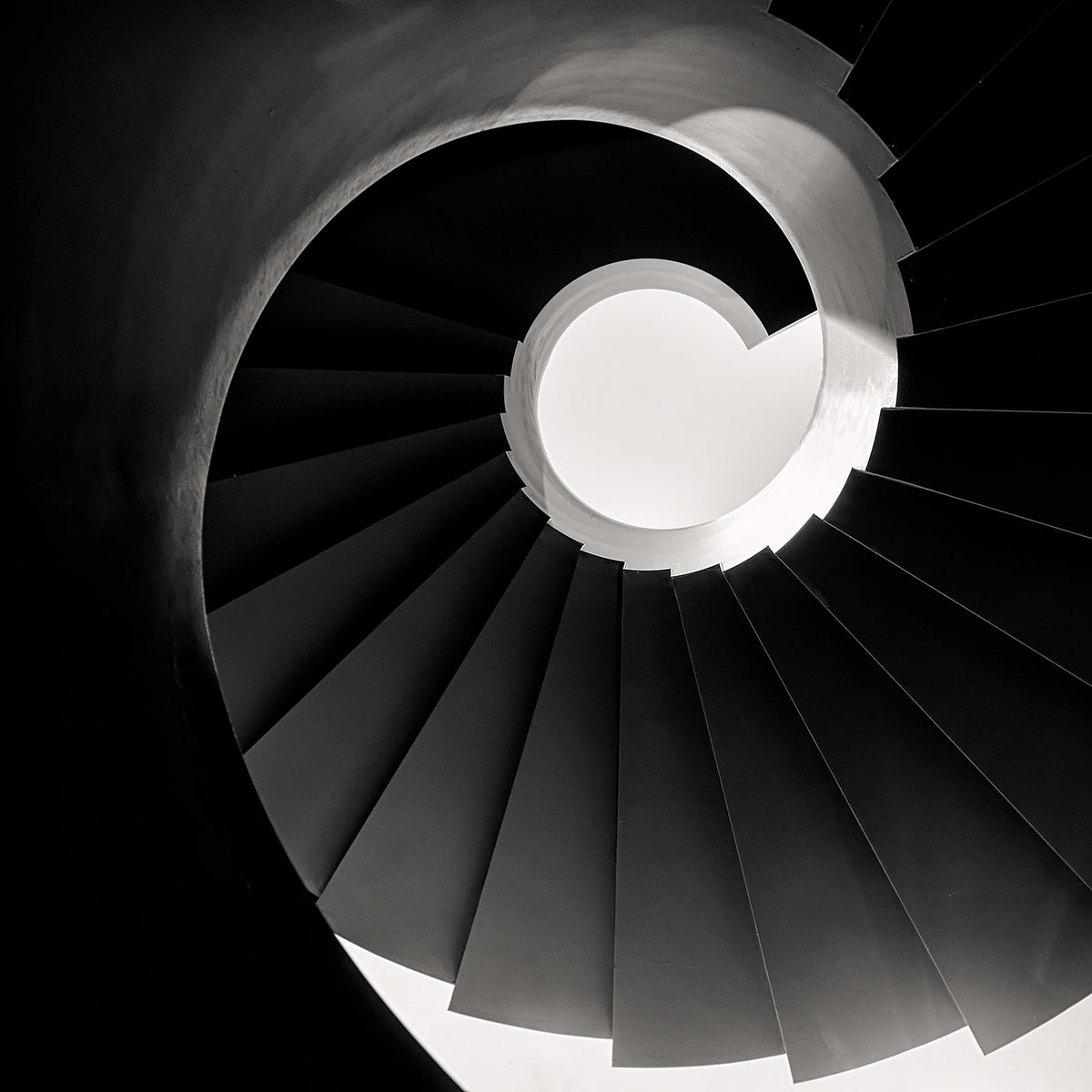 Spiral Staircase Poster och Canvastavla