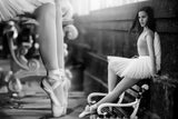 the Ballet Shoes Poster och Canvastavla