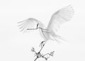 Transparent Wings Poster och Canvastavla