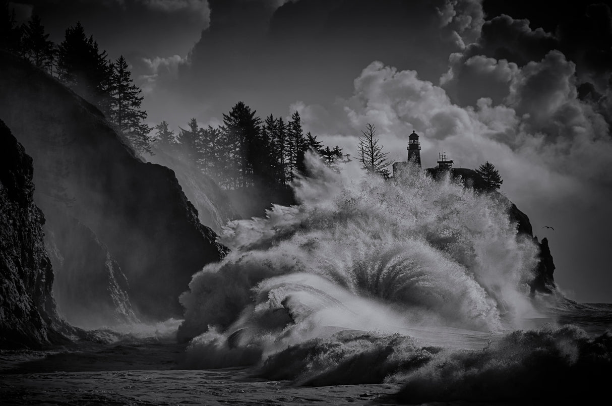 The roar of the sea Poster och Canvastavla