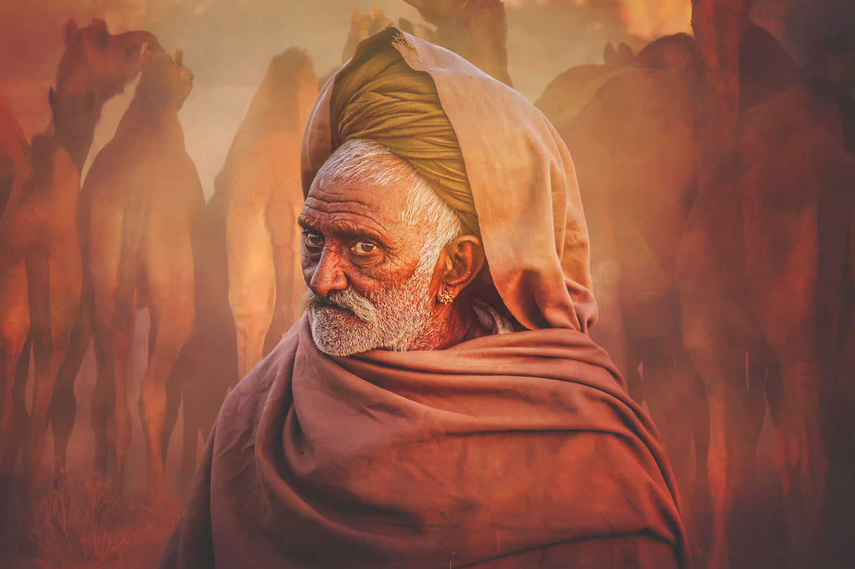 Old Rajasthani man Poster och Canvastavla