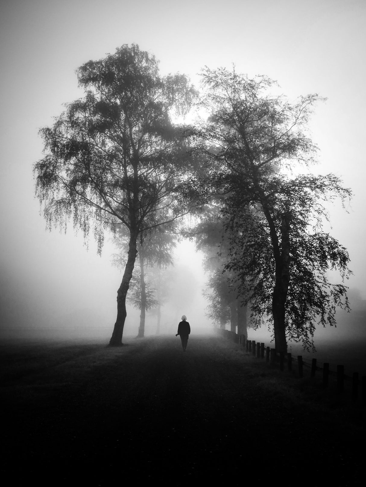 November walk Poster och Canvastavla
