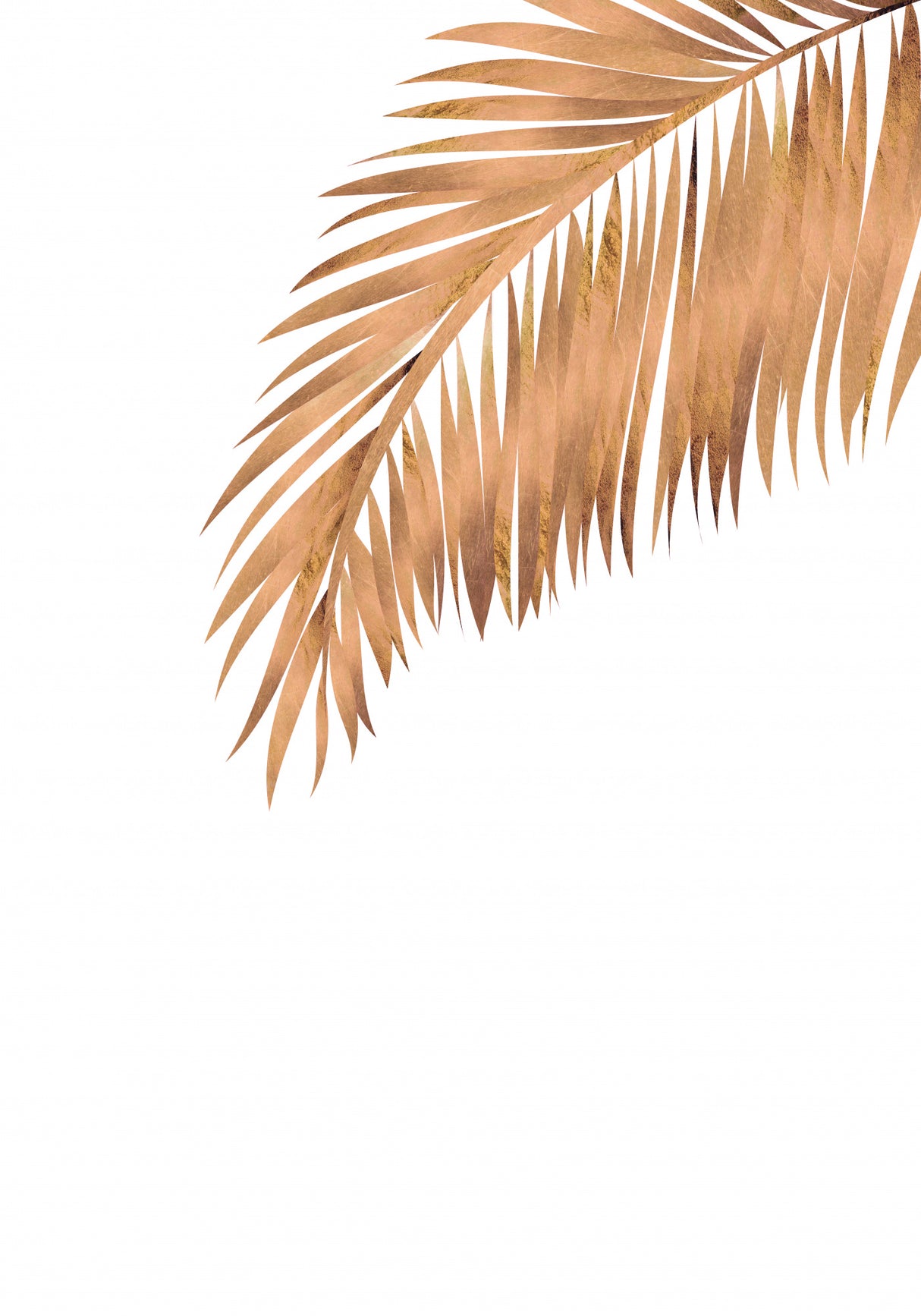 Gold Copper palm leaf 3 Poster och Canvastavla