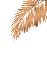 Gold Copper palm leaf 3 Poster och Canvastavla