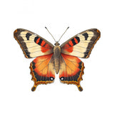Butterfly 31 Poster och Canvastavla