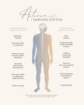 Ans Poster och Canvastavla