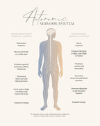 Ans Poster och Canvastavla