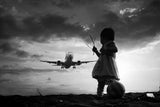 fly again Poster och Canvastavla