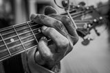 chords of life Poster och Canvastavla