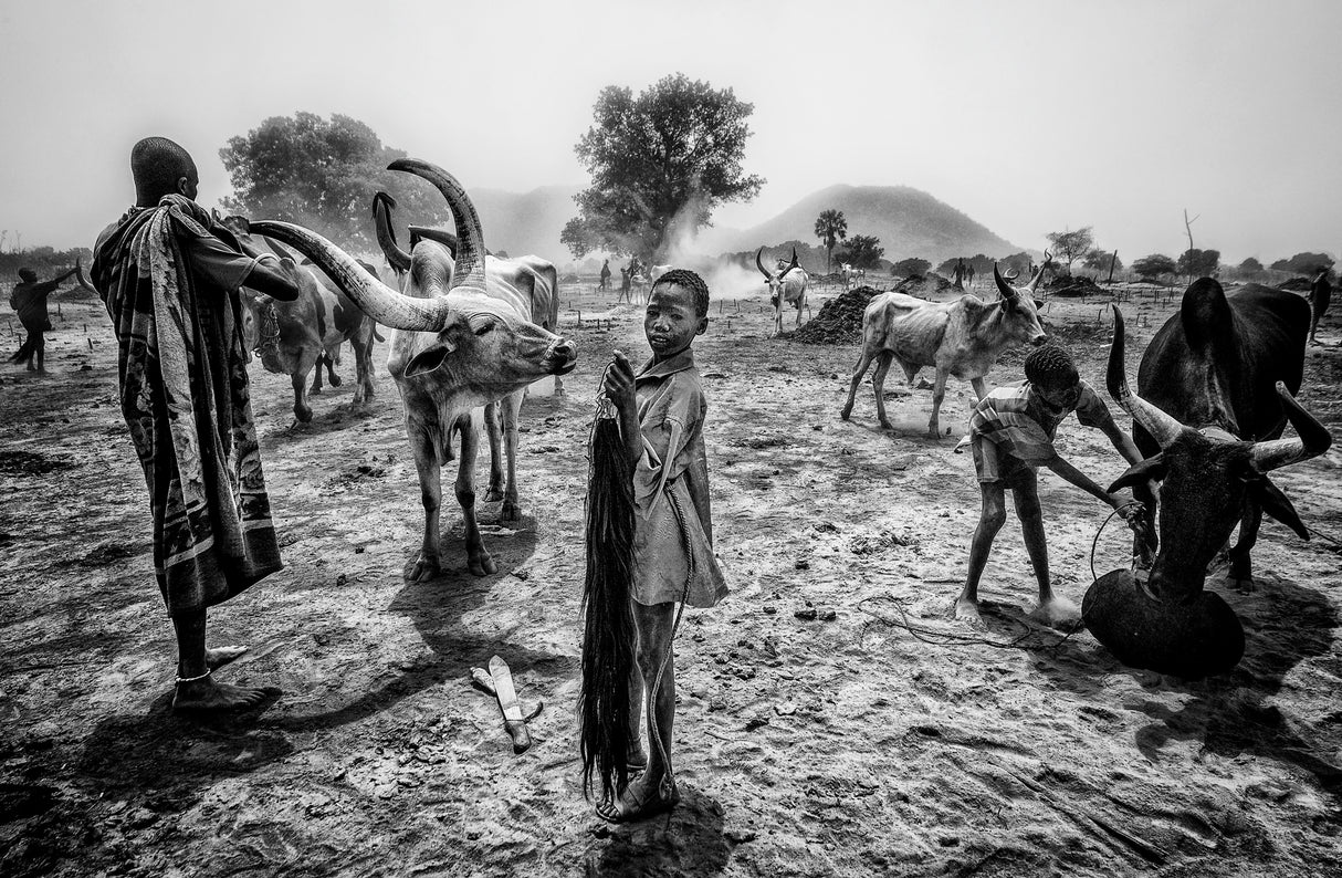 A scene of life in a mundari camp. Poster och Canvastavla